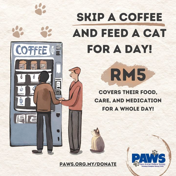 Www.paws.org.my/donate. A Rm5 Coffee Could Mean A ..