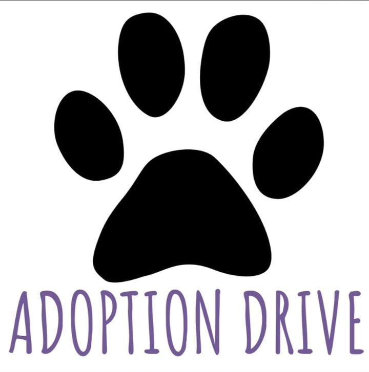 Adoption Drive. Dear All,. We Will Be Having An Ad..