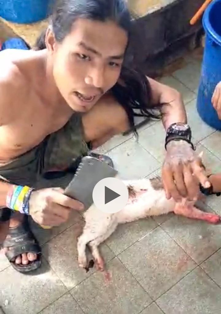 Ganjaran Rm3,000.00 Kepada Sesiapa Dapat Jejak Pel..