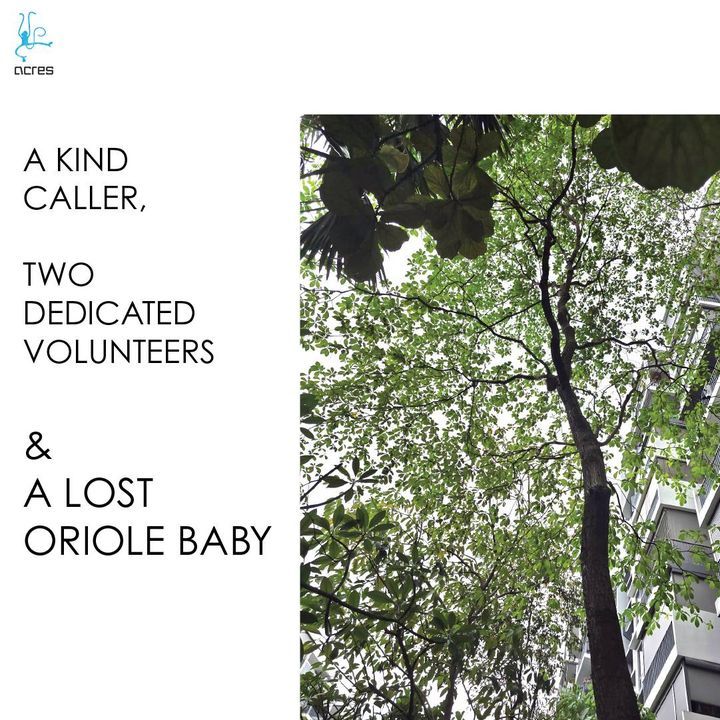 A Kind Caller, Two Dedicated Volunteers And A Lost..