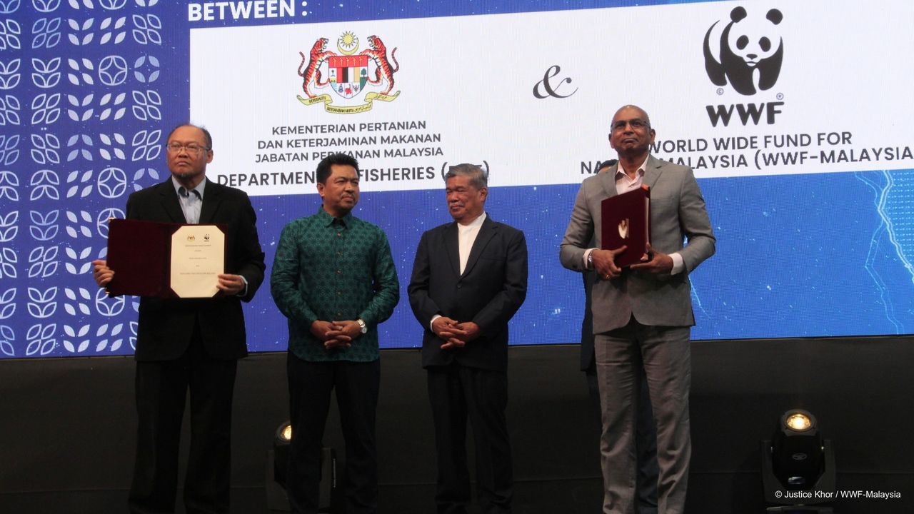 Wwf-Malaysia Is Honoured To Sign A Memorandum Of U..