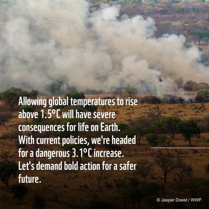 We Have Now Entered Week Two Of Cop29, And Its Rel..