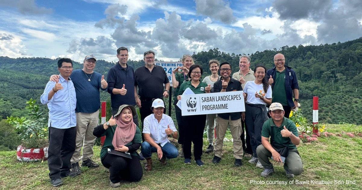 Alongside Our Colleagues From Wwf-Germany, We Welc..