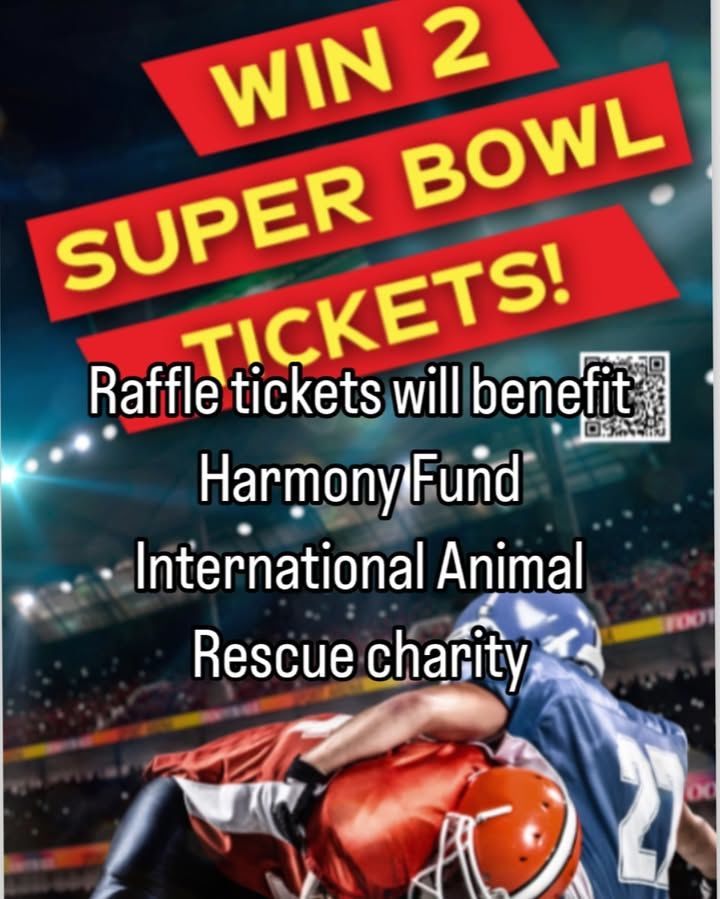 You And A Friend Can Enjoy The Big Game In Person ..