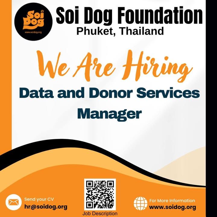 Soi Dog Foundation Is On The Lookout For A Data An..