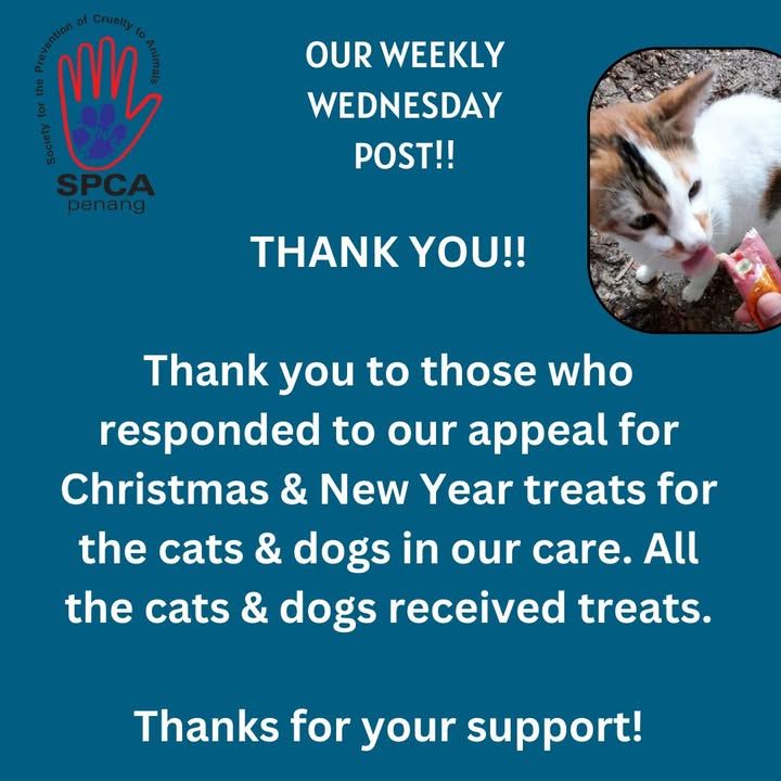 Very Grateful For Your Support – Thank You From Al..