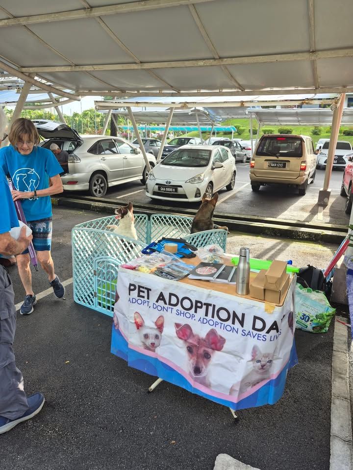 Sspca Held An Adoption Day Event At The Mbks Cover..
