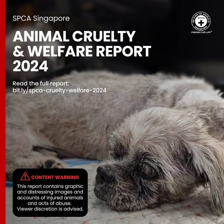 The Spcas 2024 Animal Cruelty And Welfare Report. ..