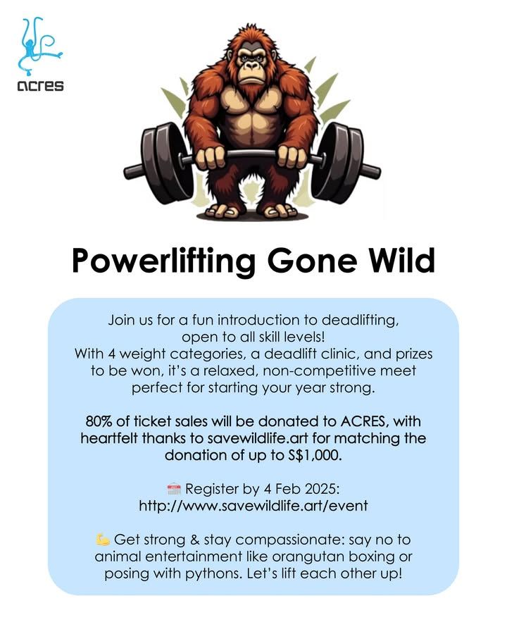 Powerlifting Gone Wild Event Is A Perfect Opportun..
