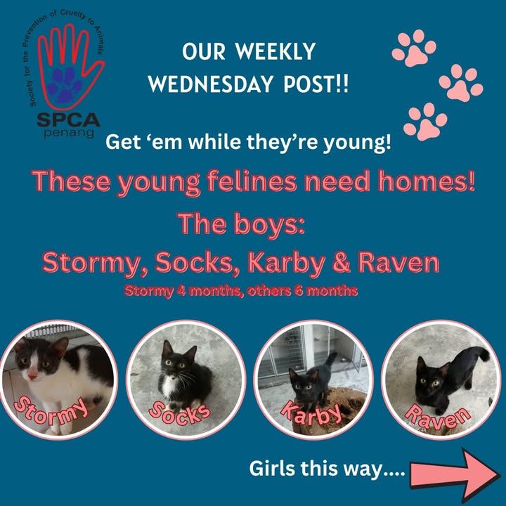 Our Weekly Wednesday Post. Names The Young Ones Al..