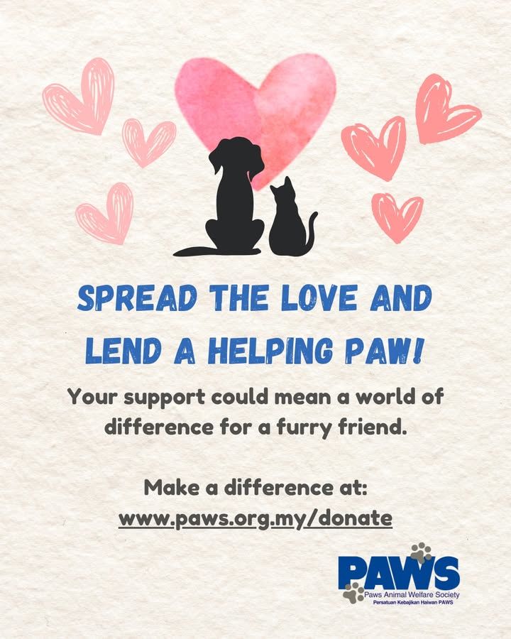 Furry Friends Deserve Some Love Too. Help Support ..