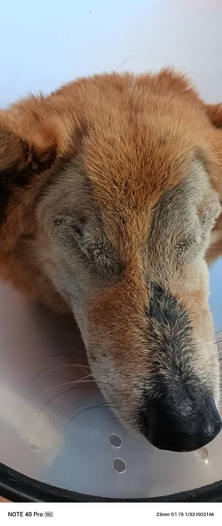 Please Help Circulate Search Rescue Appeal. Receiv..