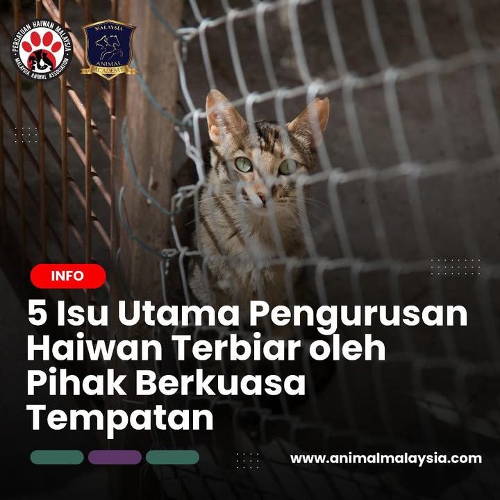 5 Isu Utama Pengurusan Haiwan Terbiar Oleh Pihak B..