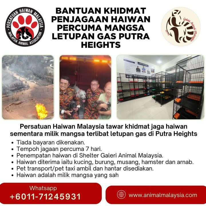 Animal Malaysia Tawar Bantuan Khidmat Penjagaan Ha..