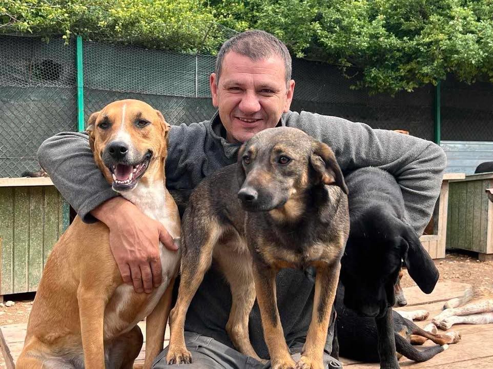 800 Shelter Dogs Send Their Love. In These Quiet M..