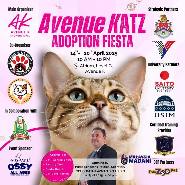 Program Adoption Kucing Paling Lama Dan Paling Pan..