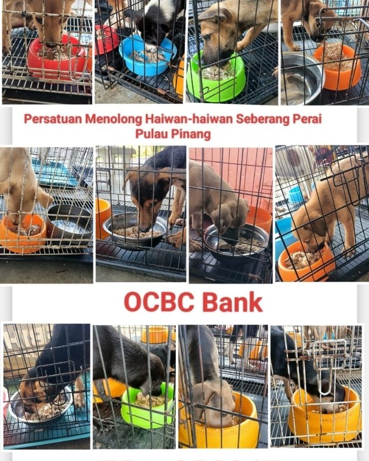 1,60010100kgs 10kg, 1rm30. 50. Bank Ocbc Bank. Ban..