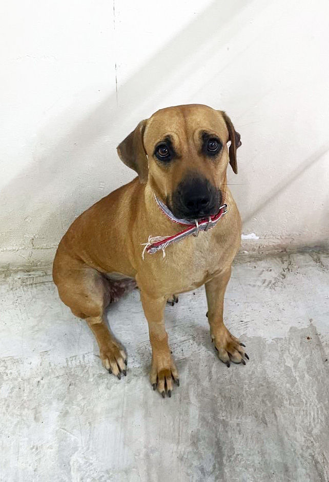 Guddu Was Once Abused By Strangers, But She Still ..