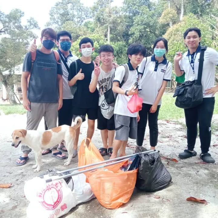 Volunteers Groups From The School Bravo To All The..
