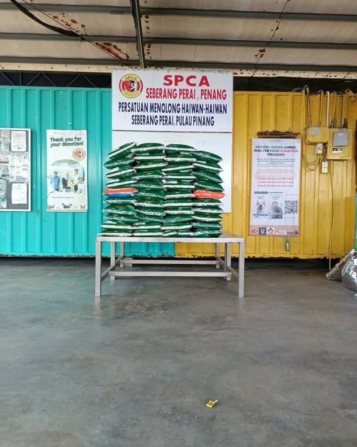 1600100kgs. Bank Ocbc Bank. Bank Account 731123206..