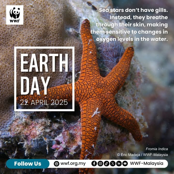 From Forests To Seas, Let’s Work Together Every Da..