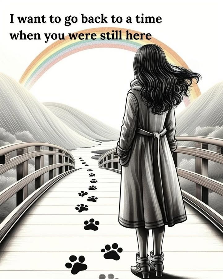 The Pet Memorial. Www.thepetmemorial.org. Honor Yo..