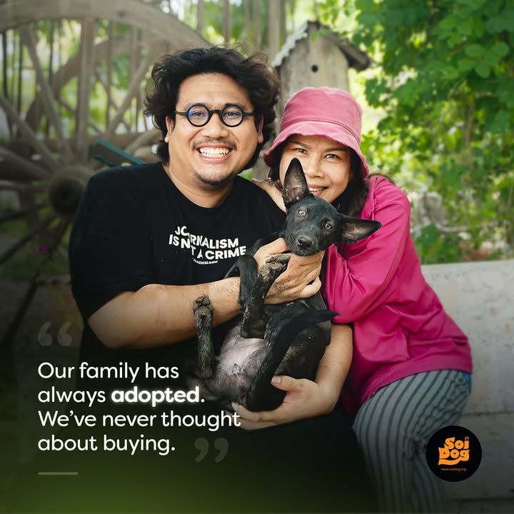 Its As Simple As That. For The Family Of Soi Dogs ..