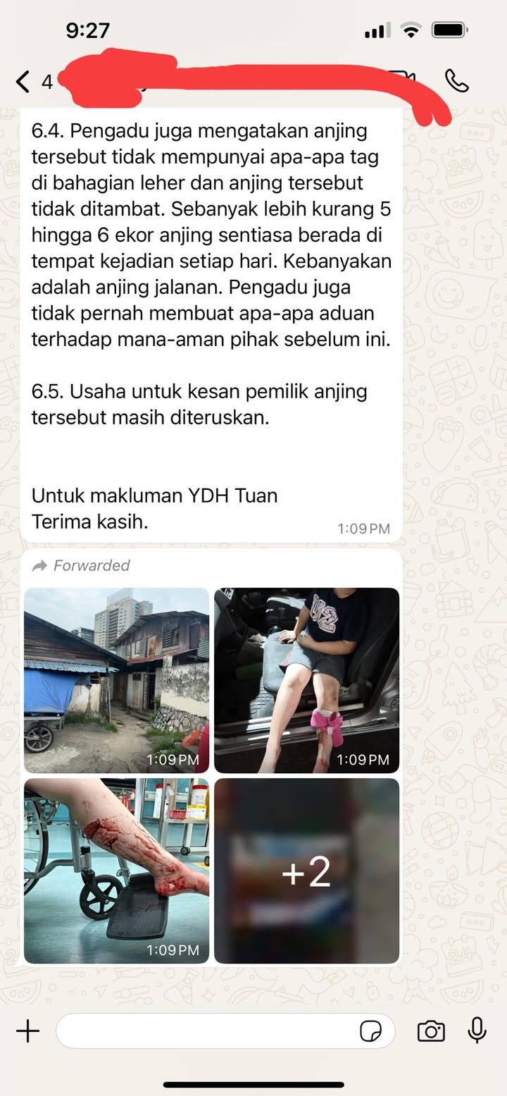 Ini Hanya Salah Satu Laporan Kes Mangsa Anjing Lia..
