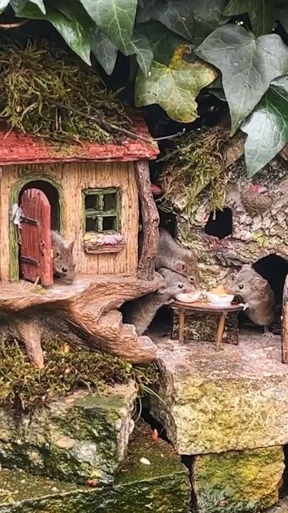 Granddad Builds An Entire Village For Mice In His Garden