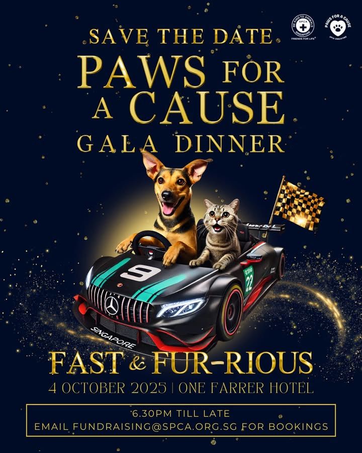 Coming To You Fast Fur-Rious. Rev Up Your Engines ..