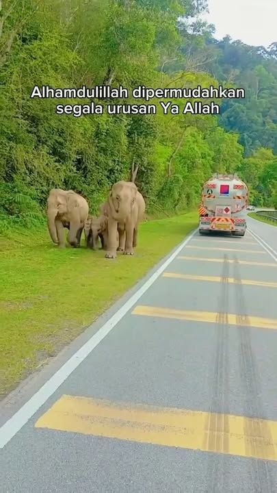 Gurauan Sebelum Kemalangan