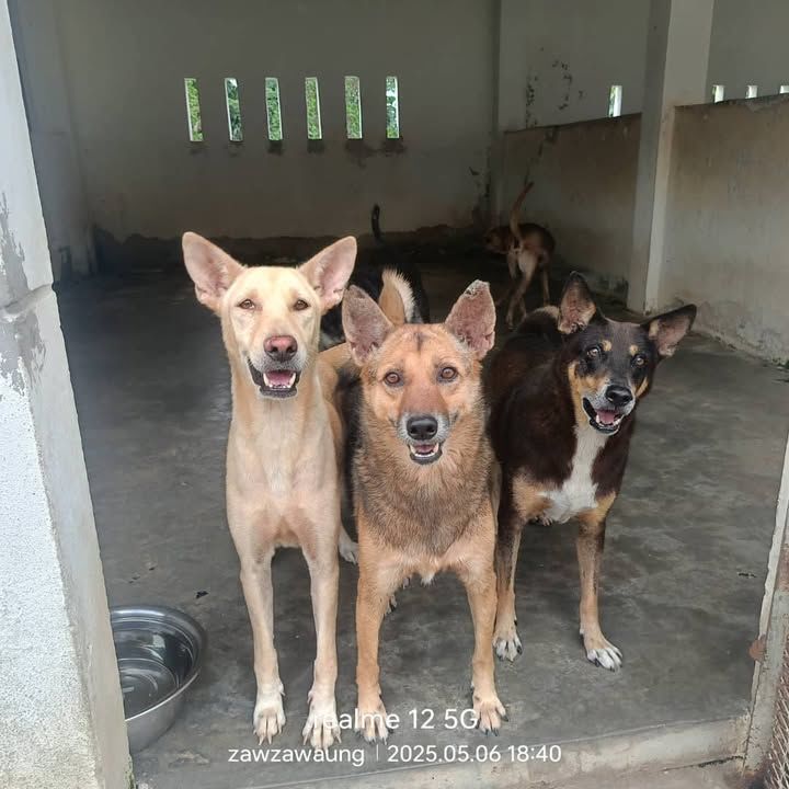 Dear All,. We’ll Be Ending Our Fund Raising For Th..