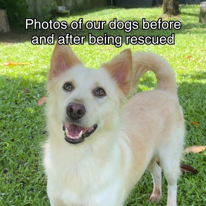 Look At These Transformations You Made Possible. W..