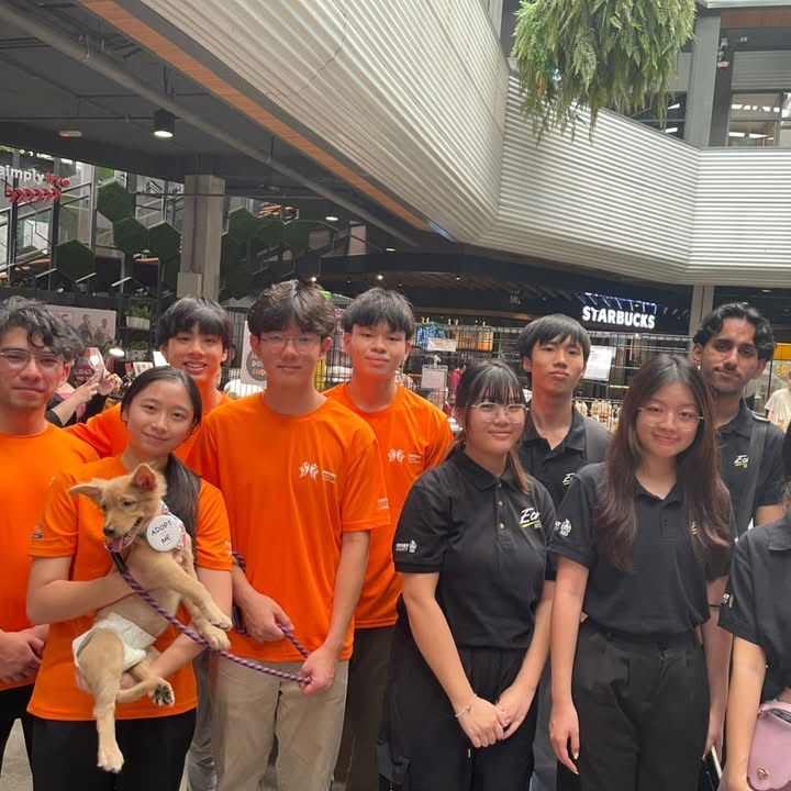 Second Chance Animal Society With The Square By Jaya One And Wildlife Department Of Sunway Student Volunteers (Ssv) Collaborate To Give Hope To Homeless Animals