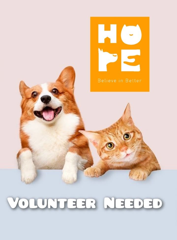 Kl. Hope. 2025530 62 4. Midvalley Megamall Kl