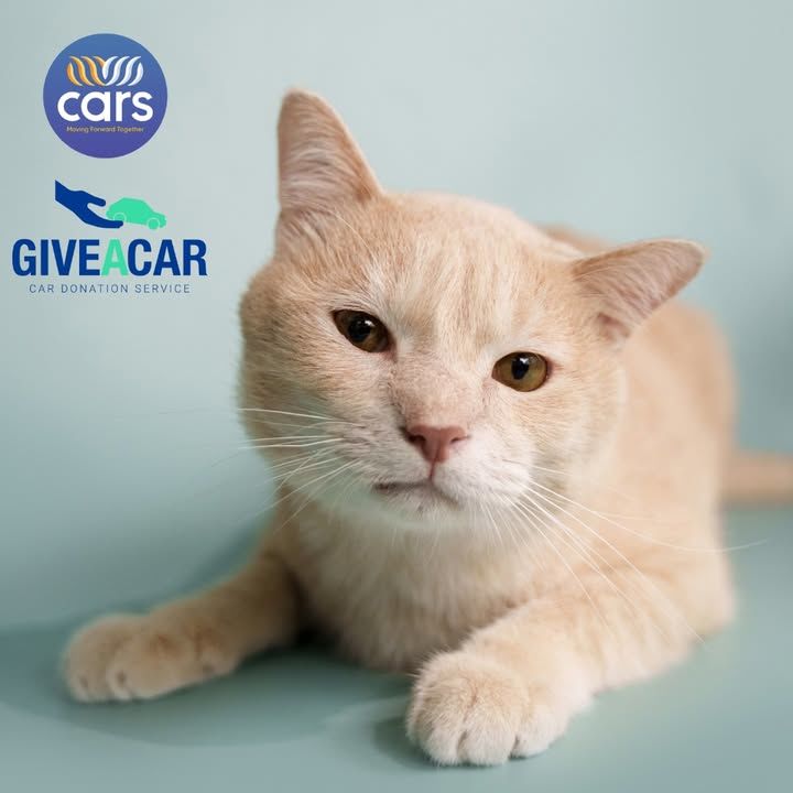 Got A Vehicle You No Longer Need? You Can Now Dona..