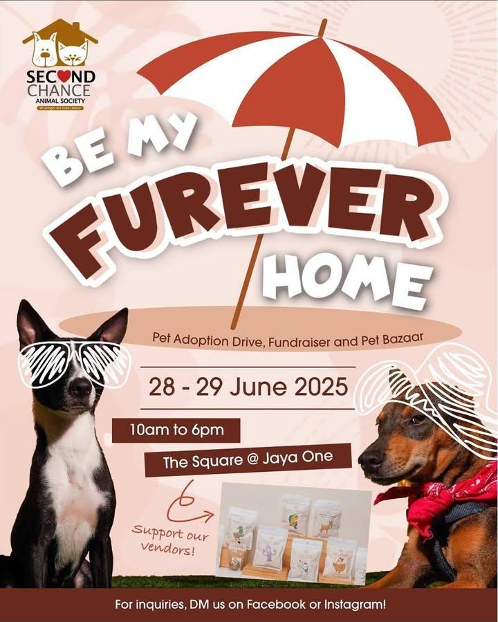 Be My Furever Home Adoption Weekend Is Here. Looki..