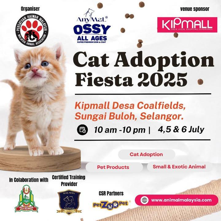 Kini Kembali Di Kipmall Desa Coalfield, Sungai Bul..