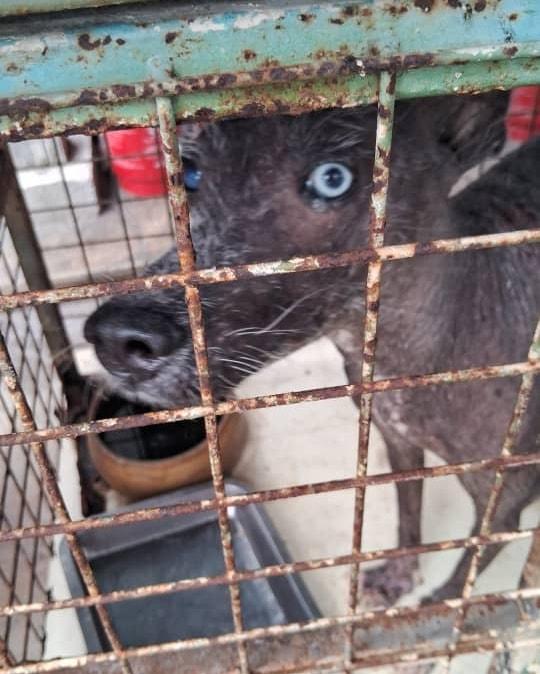 6. 6. "". Bank Ocbc Bank. Bank Account 7311232067…