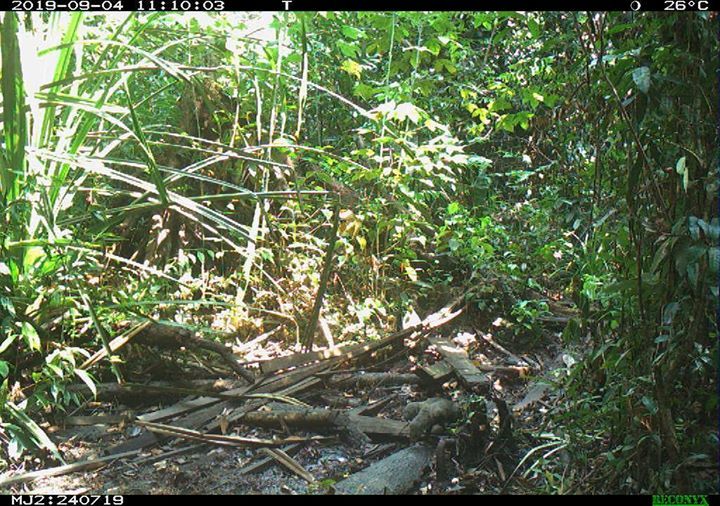 Wetlands Are Rich In Biodiversity