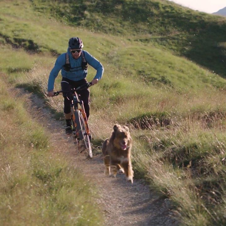 Dog Loves Running With His Mountain Biker Dad
