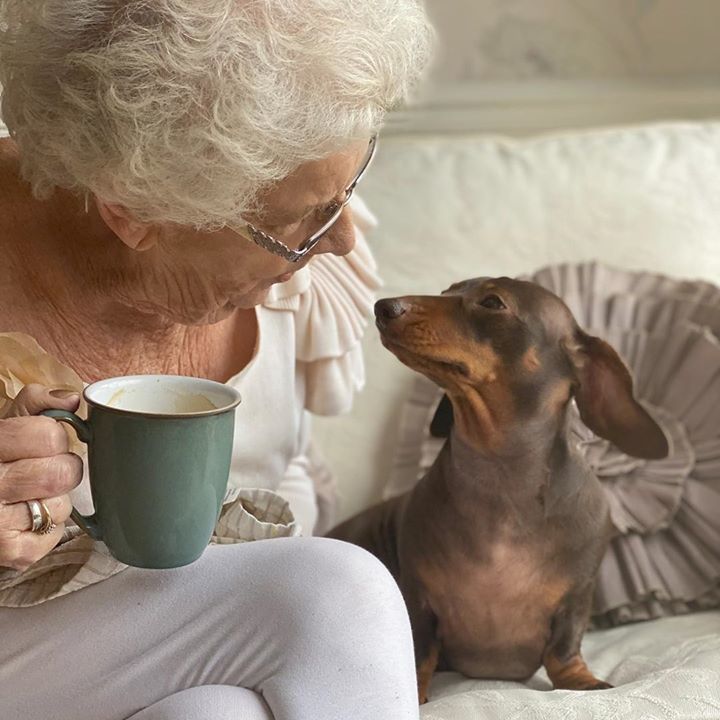 84-Year-Old Lady Is Best Friends With This Pup