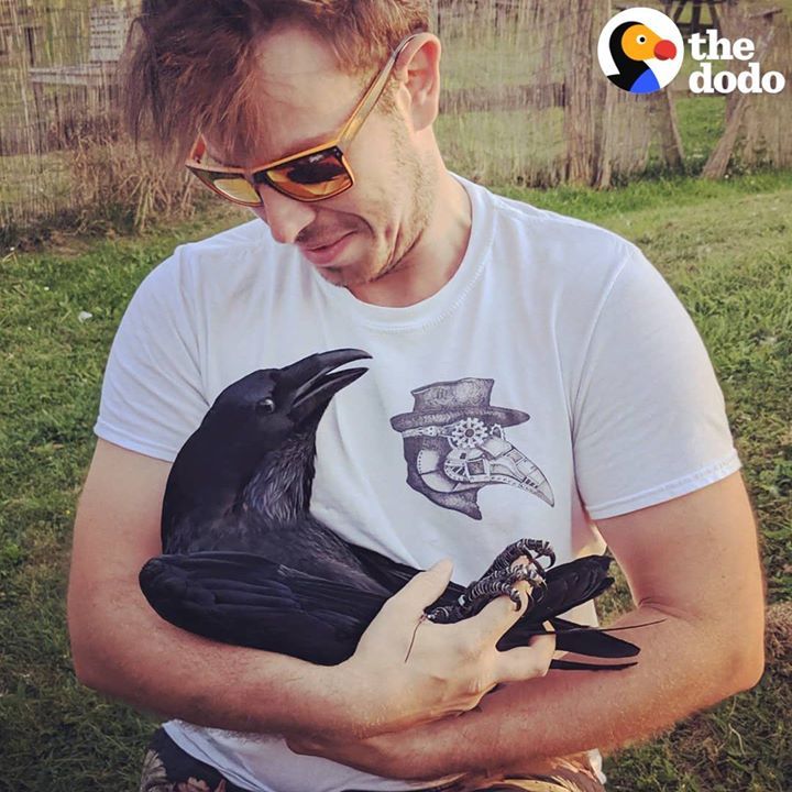 Raven Shakes His Tail Feathers Every Time He Sees Dad