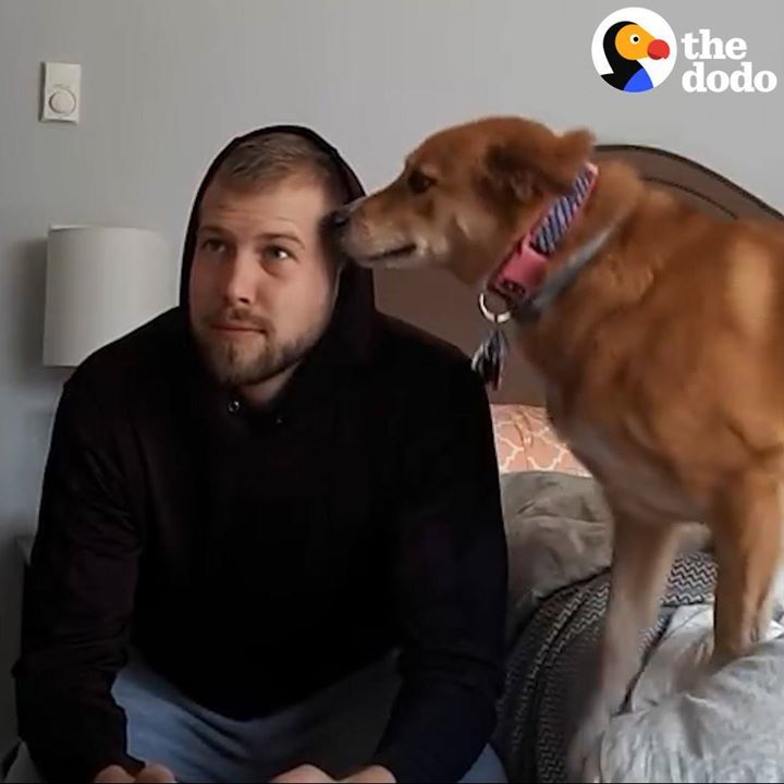 Dog Doesnâ€™t Want Her Dad To Play Video Games