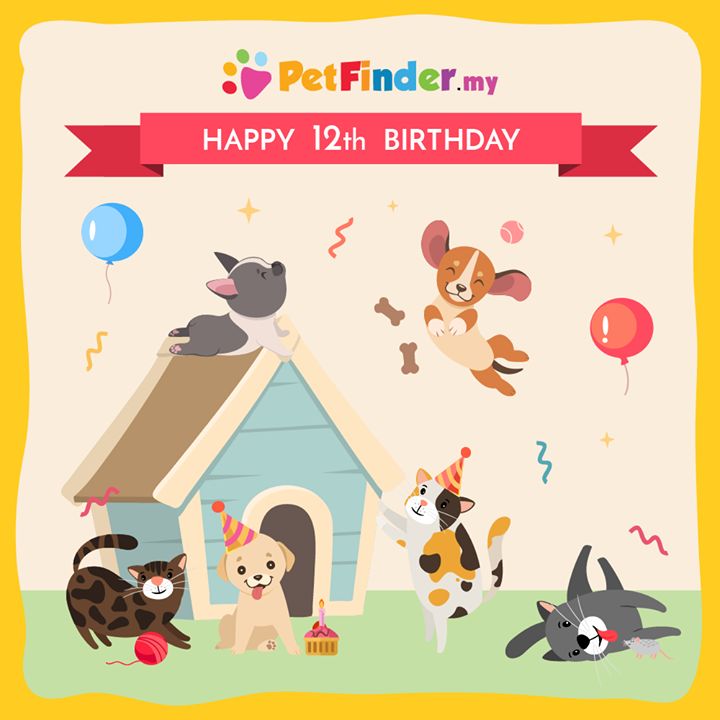 Petfinder.my Turns 12 Today. Thank You For A Dozen..