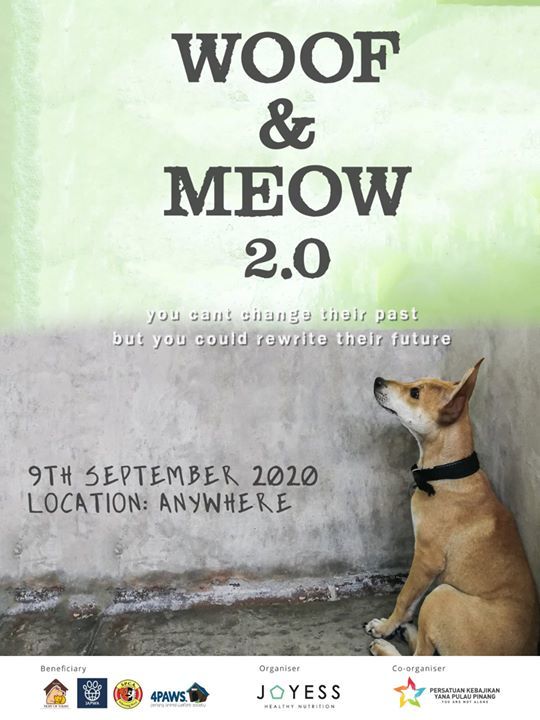 A Good Cause Organized By Woof Meow To Support A F..