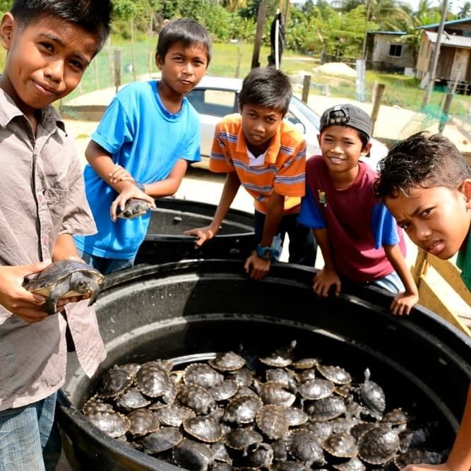 200 Hatchlings Released To Mark World Turtle Day â€¢ Turtle Conservation Society Of Malaysia