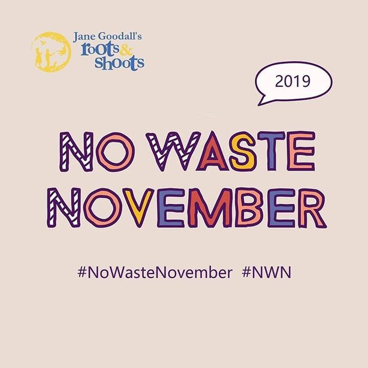 The Nowastenovember Challenge Is Coming Stay Tuned..