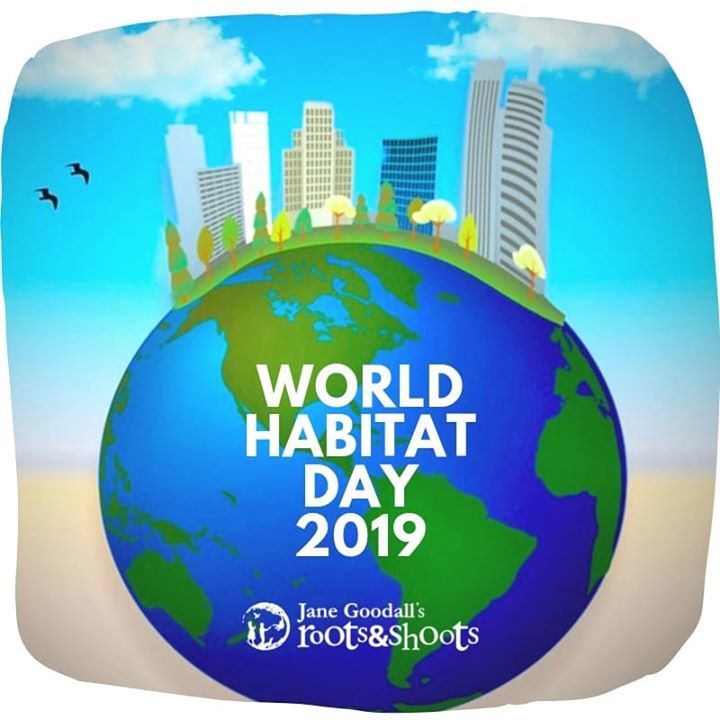 The Theme For This Years World Habitat Day, Design..