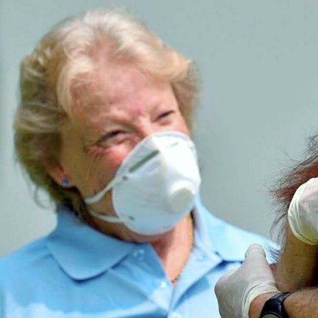 Devoting Her Life To Saving The Orangutans